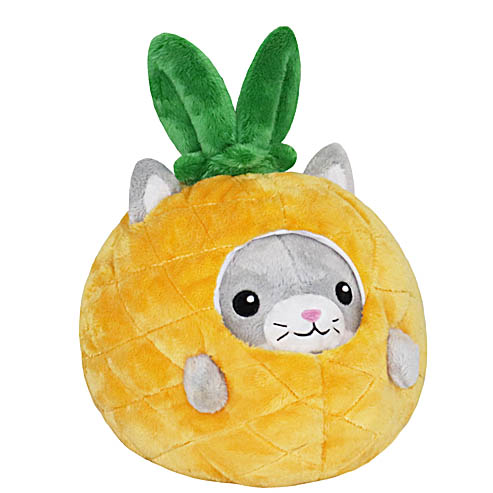 Picture of Kitty in Pineapple (7