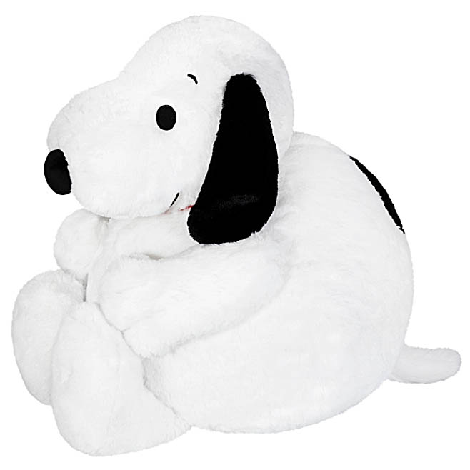 Picture of Snoopy (15