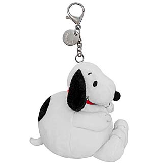 Picture of Snoopy 